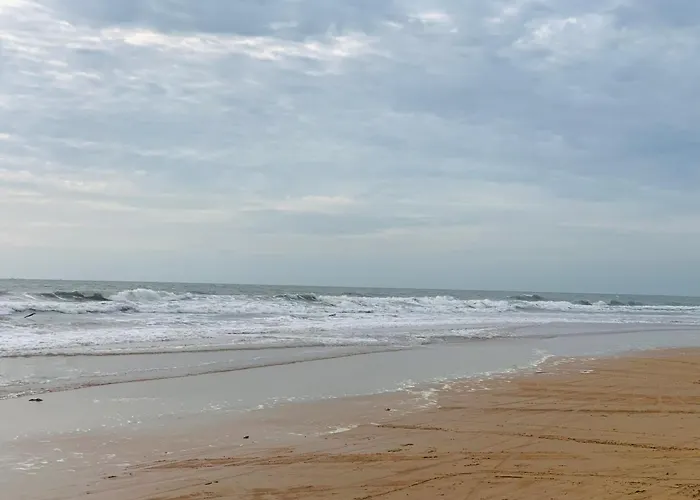 1br Direct Seaview - 5 Mins To The - Infinity Pool - Apec Mui Ne *